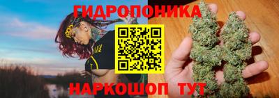 гидра Кунгур